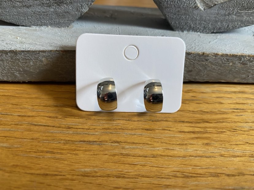 Silver Coloured Hoop Type Studs